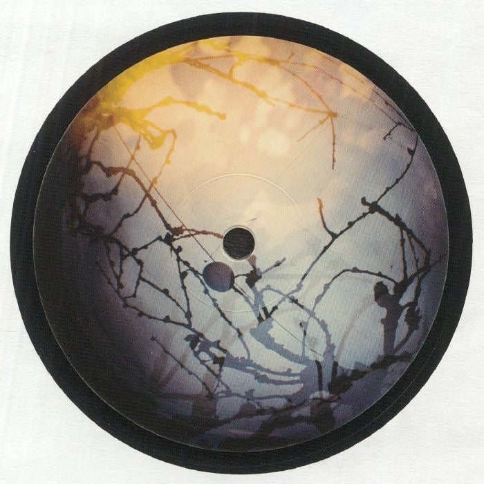 Andrea Ferlin & Fabio Caria – Senua