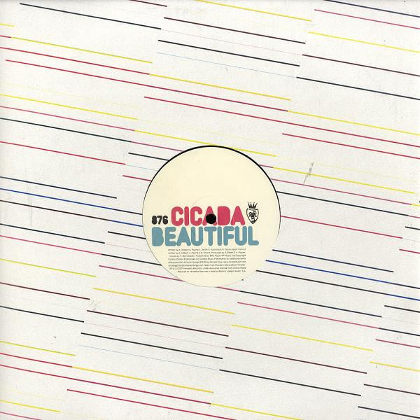 Cicada – Beautiful