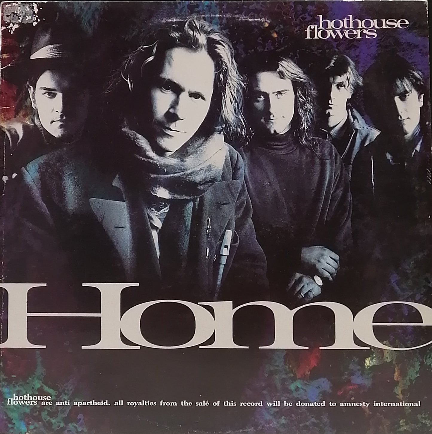 Flores de Estufa - Home