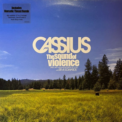 Cassius With Steve Edwards - The Sound Of Violence (Feel Like I Wanna Be Inside OF You)