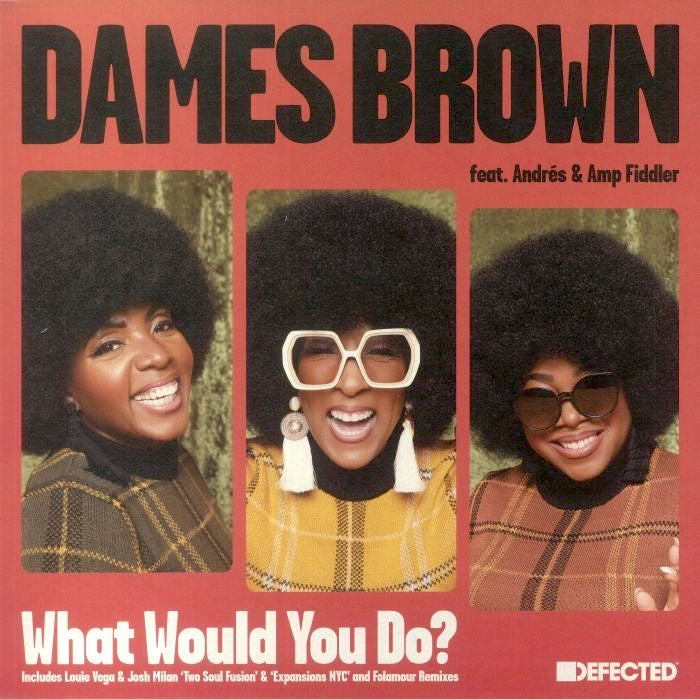 Dames Brown feat. Andrés & Amp Fiddler - What Would You Do? (Remix)