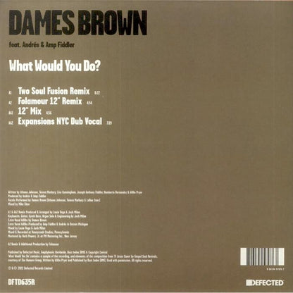 Dames Brown feat. Andrés &amp; Amp Fiddler – What Would You Do?