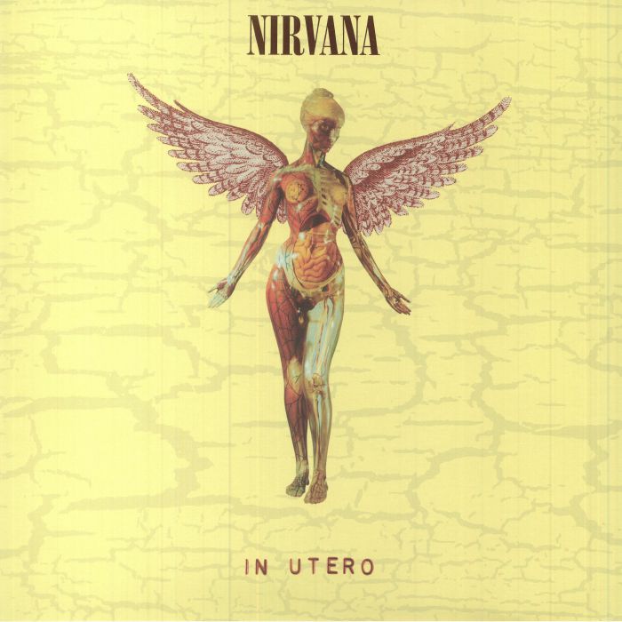 Nirvana - In Utero (30th Anniversary Edition)+10" LP+insert