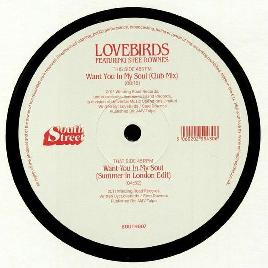 Lovebirds com Stee Downes - Want You In My Soul