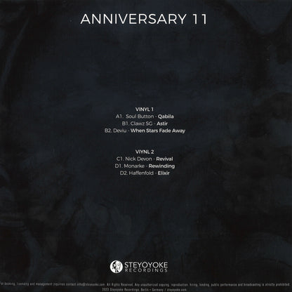 Various Artist - Steyoyoke Anniversary 11