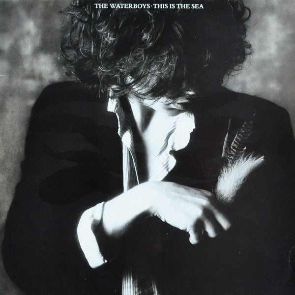 The Waterboys - This Is The Sea