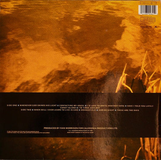 Van Morrison - Avalon Sunset