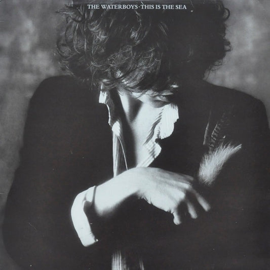 The Waterboys - This Is The Sea