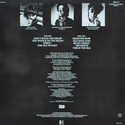 The Waterboys - This Is The Sea